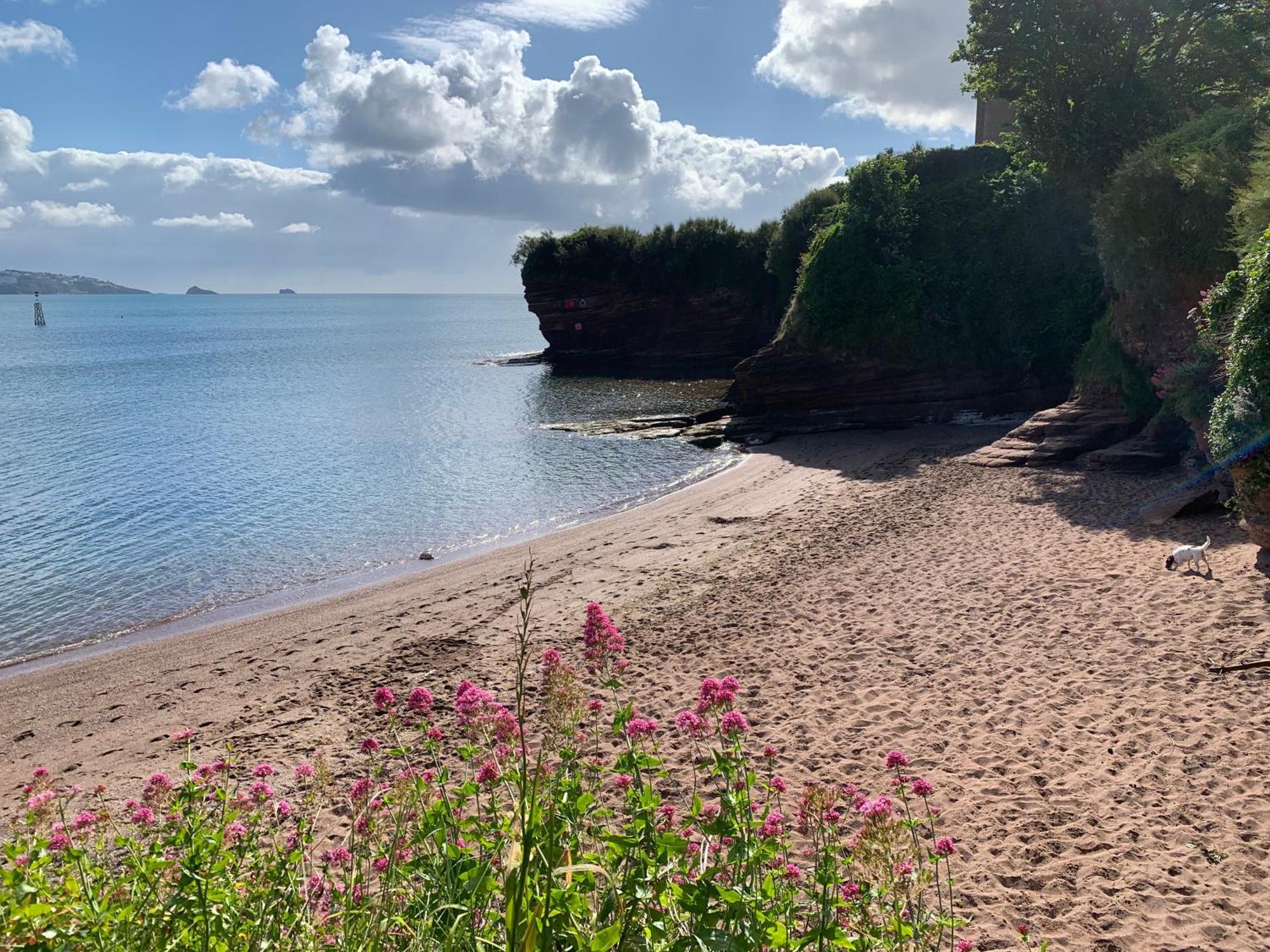 San Brelade Hotel Paignton Bagian luar foto